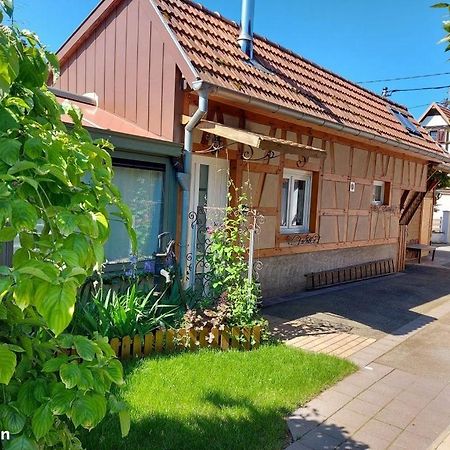 Villa Oasis d'Alsace à Valff Extérieur photo